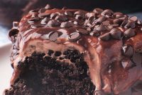 Decadent Chocolate Infusion Cake