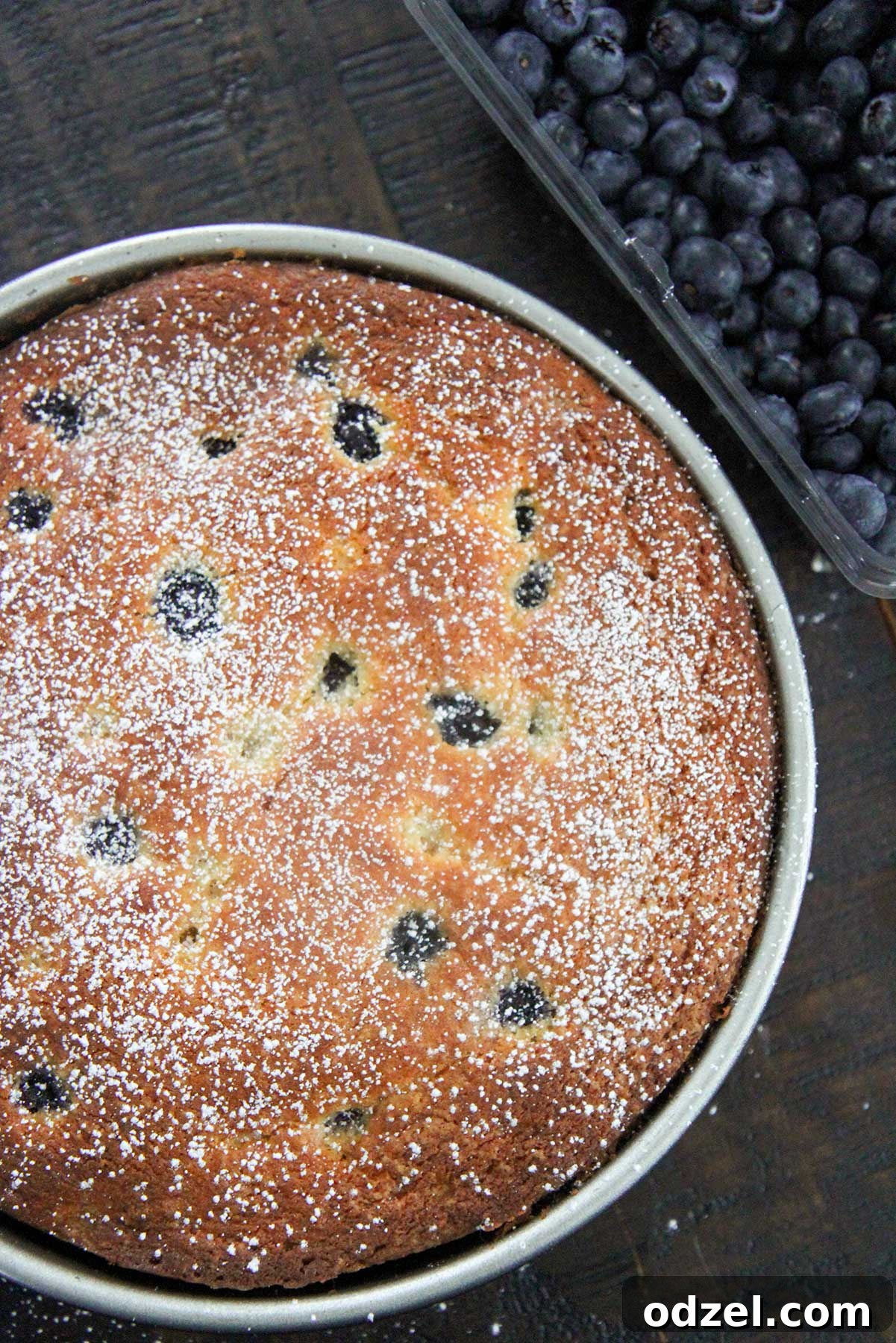 A beautifully baked lemon blueberry cream cheese coffee cake, garnished with fresh blueberries and powdered sugar, ready to be served on a pristine white surface.