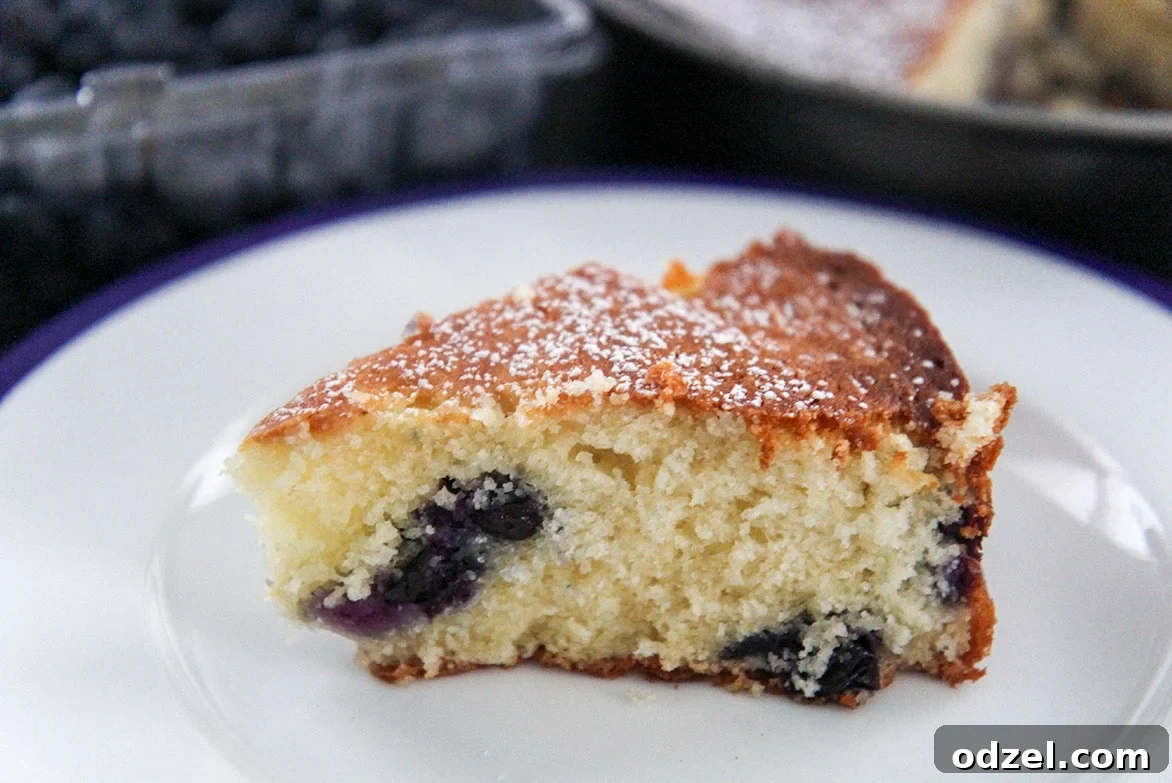 A close-up shot of a perfect slice of lemon blueberry cream cheese coffee cake on a white plate, showcasing its moist crumb and visible blueberries.