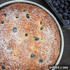 lemon blueberry cream cheese coffee cake with fresh blueberries on the side