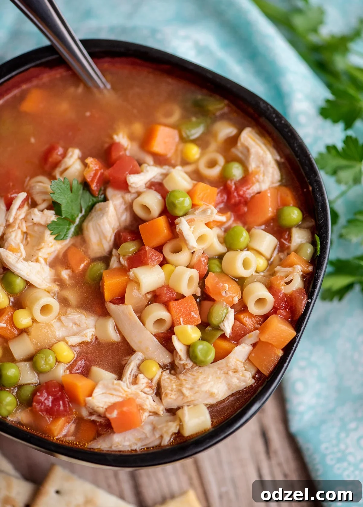 Cozy Instant Pot Chicken Vegetable Soup 4 A vibrant and inviting bowl of homemade chicken, vegetable, and noodle soup, artfully arranged to showcase its rich texture and steam gently rising, promising a warm and satisfying culinary experience.