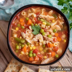 Instant Pot Chicken Vegetable Soup in a bowl with saltine crackers