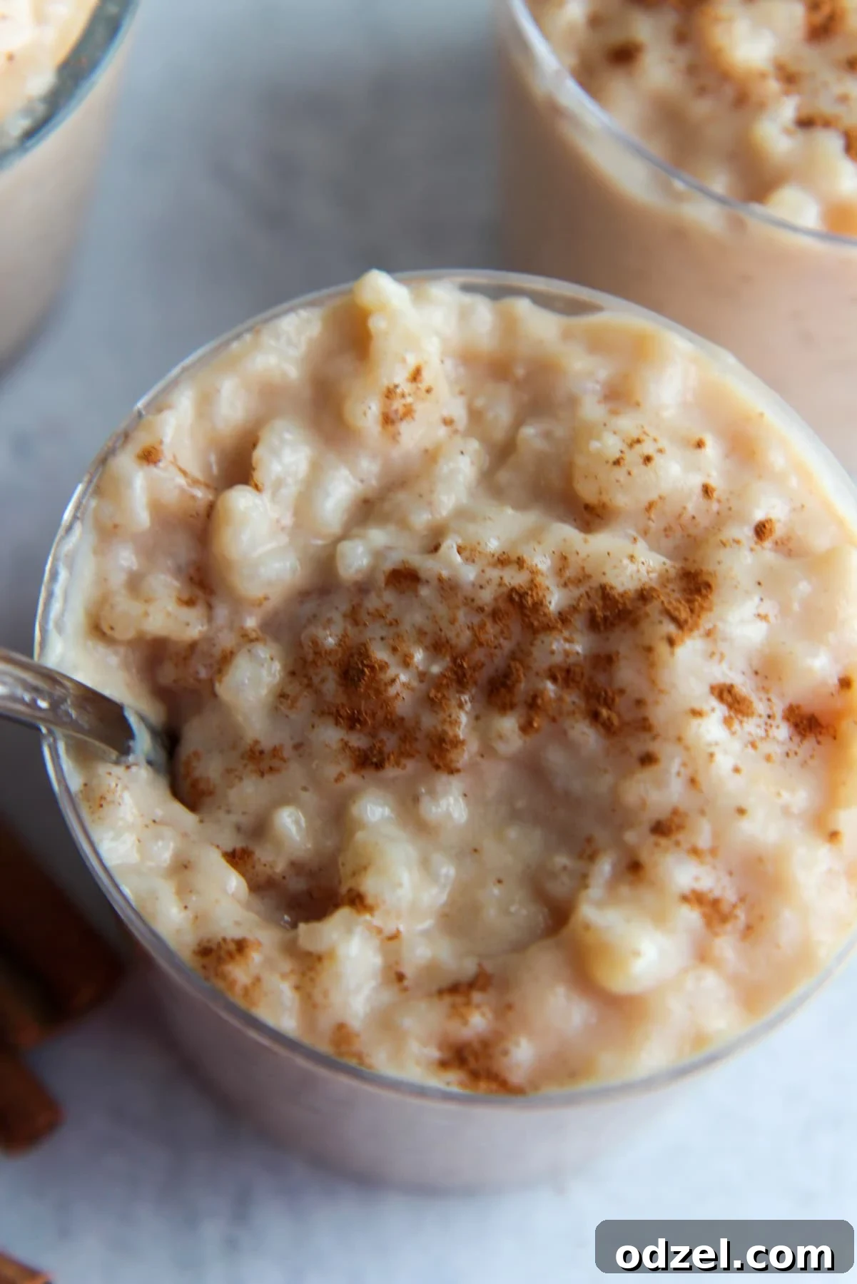 up close shot of classic rice pudding with ground cinnamon on top. 