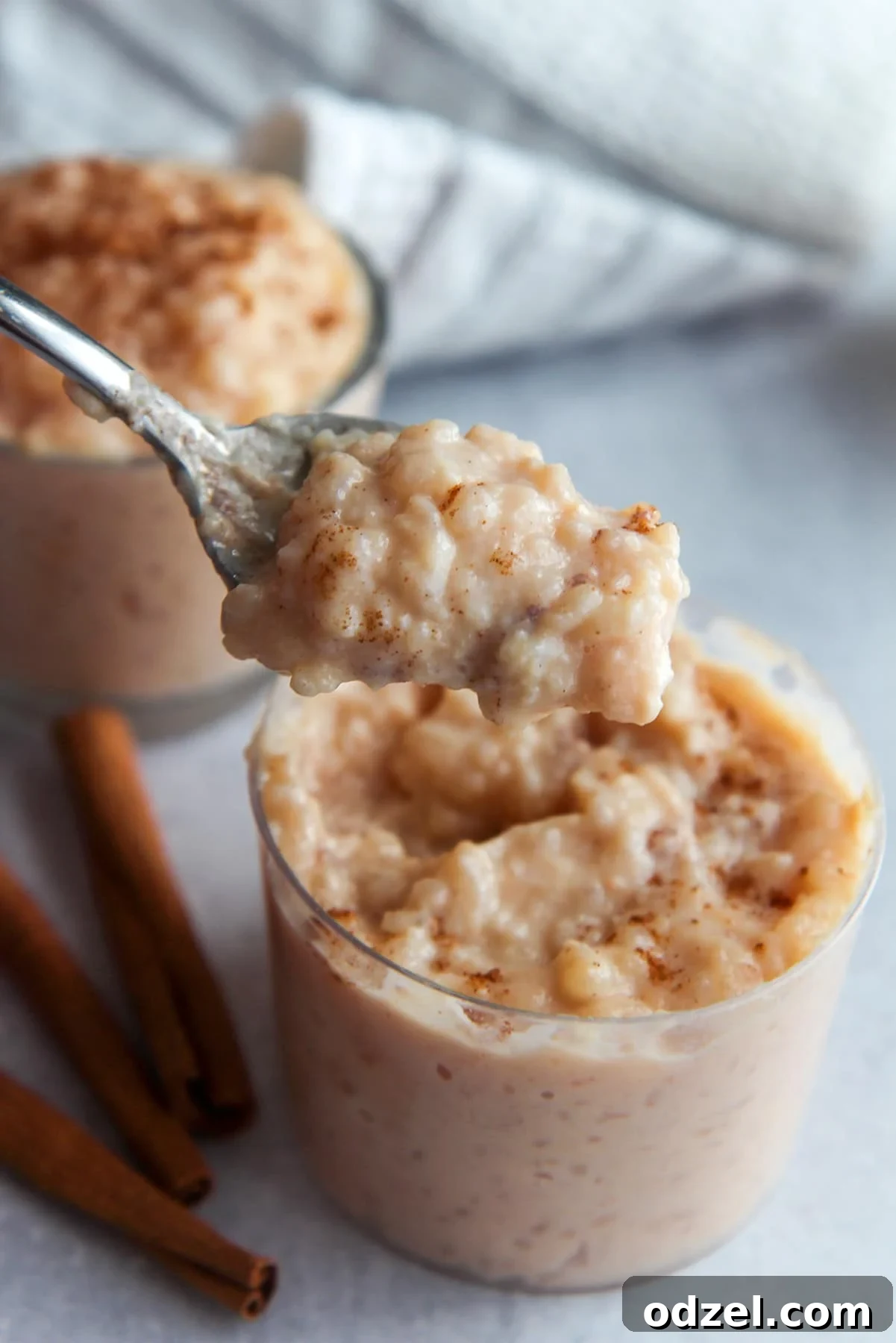 a spoonful of creamy rice pudding. 