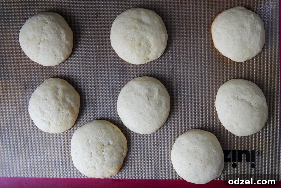 Sunshine-Kissed Lemon Ricotta Bites 4 Eight soft-baked Italian lemon ricotta cookies cooling on a wire rack over a baking sheet.