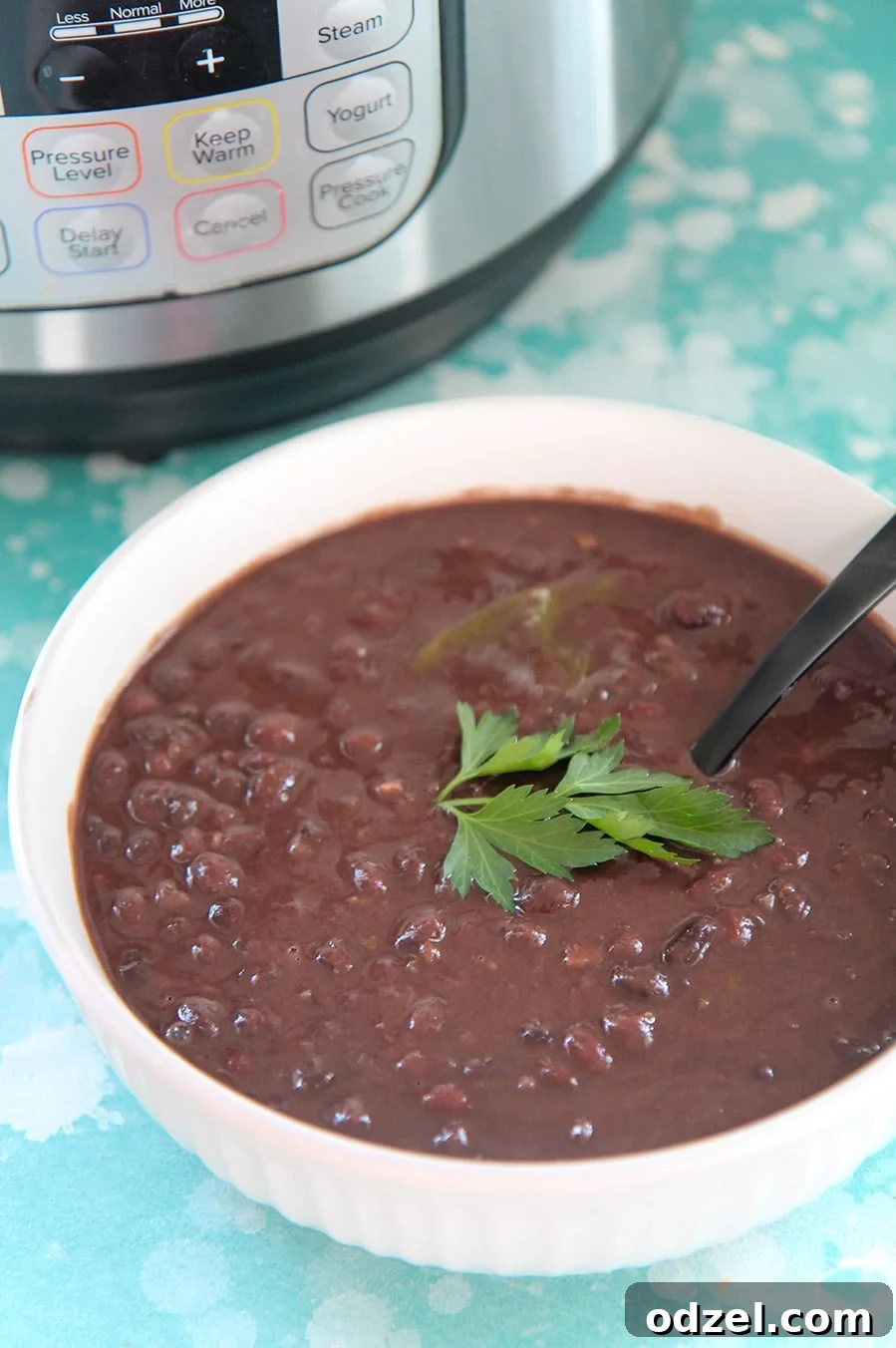 Flavorful Instant Pot Cuban Black Beans 3 a white bowl with black beans, cilantro on top, and a spoon. An instant pot in the background.