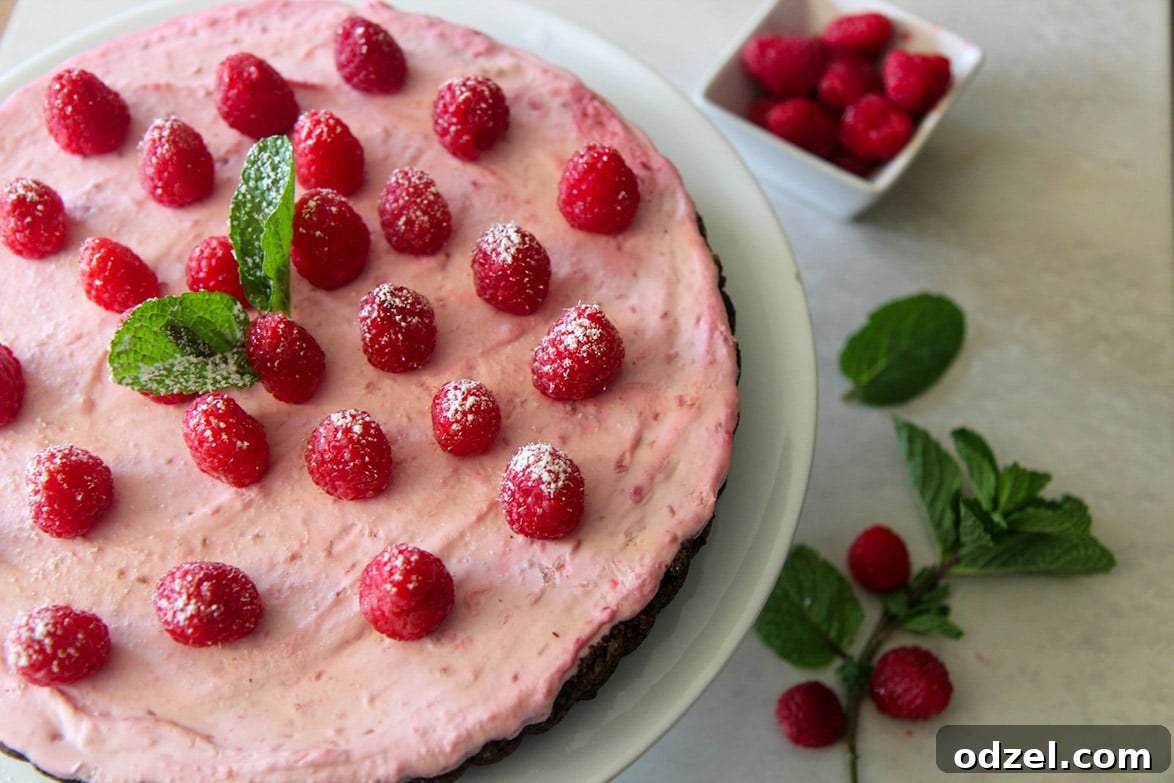 an up close shot of a raspberry tart with mint on the side. 