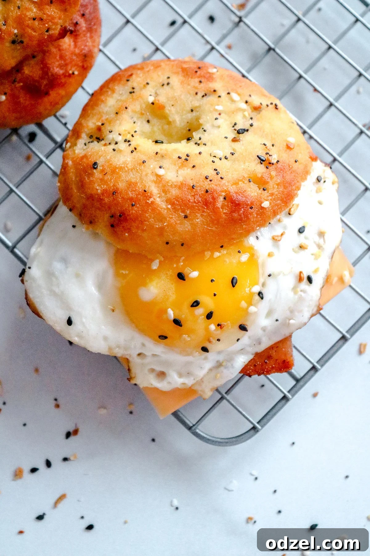 A delectable keto breakfast sandwich featuring a sunny side up egg, a homemade everything bagel, and melted cheese, elegantly displayed on a wire rack.