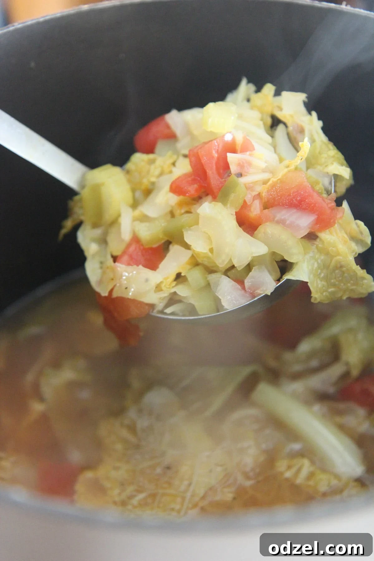 A ladle filled with vibrant cabbage soup, gracefully lifted above a steaming pot of the same delicious soup.