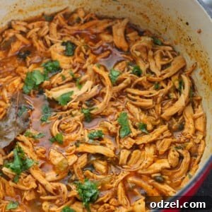 latin shredded chicken stew with cilantro on top in a red dutch oven.