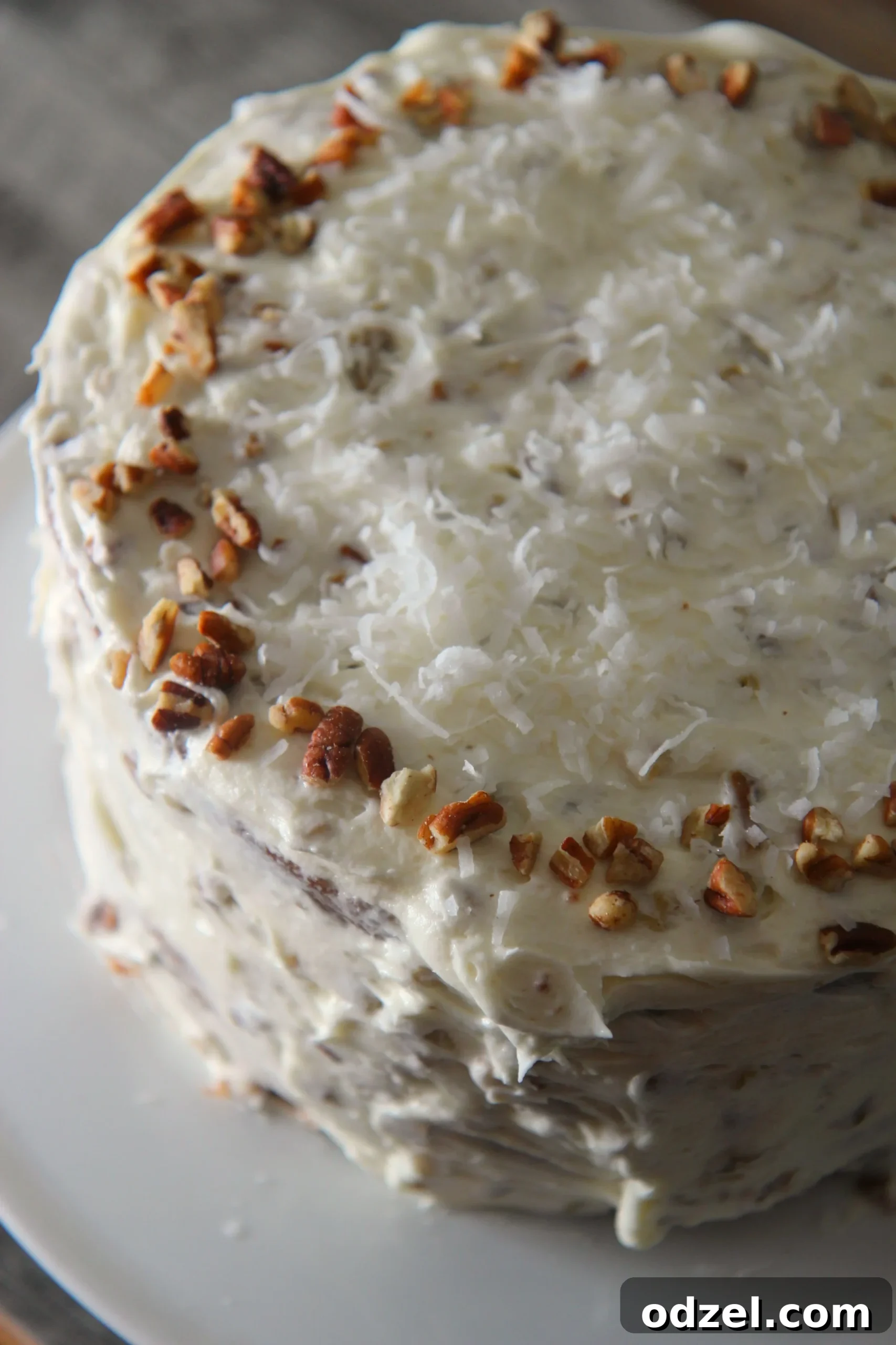 This Italian Cream Cake is nutty and sweet, topped with creamy frosting and pecans. A slice reveals its moist layers.