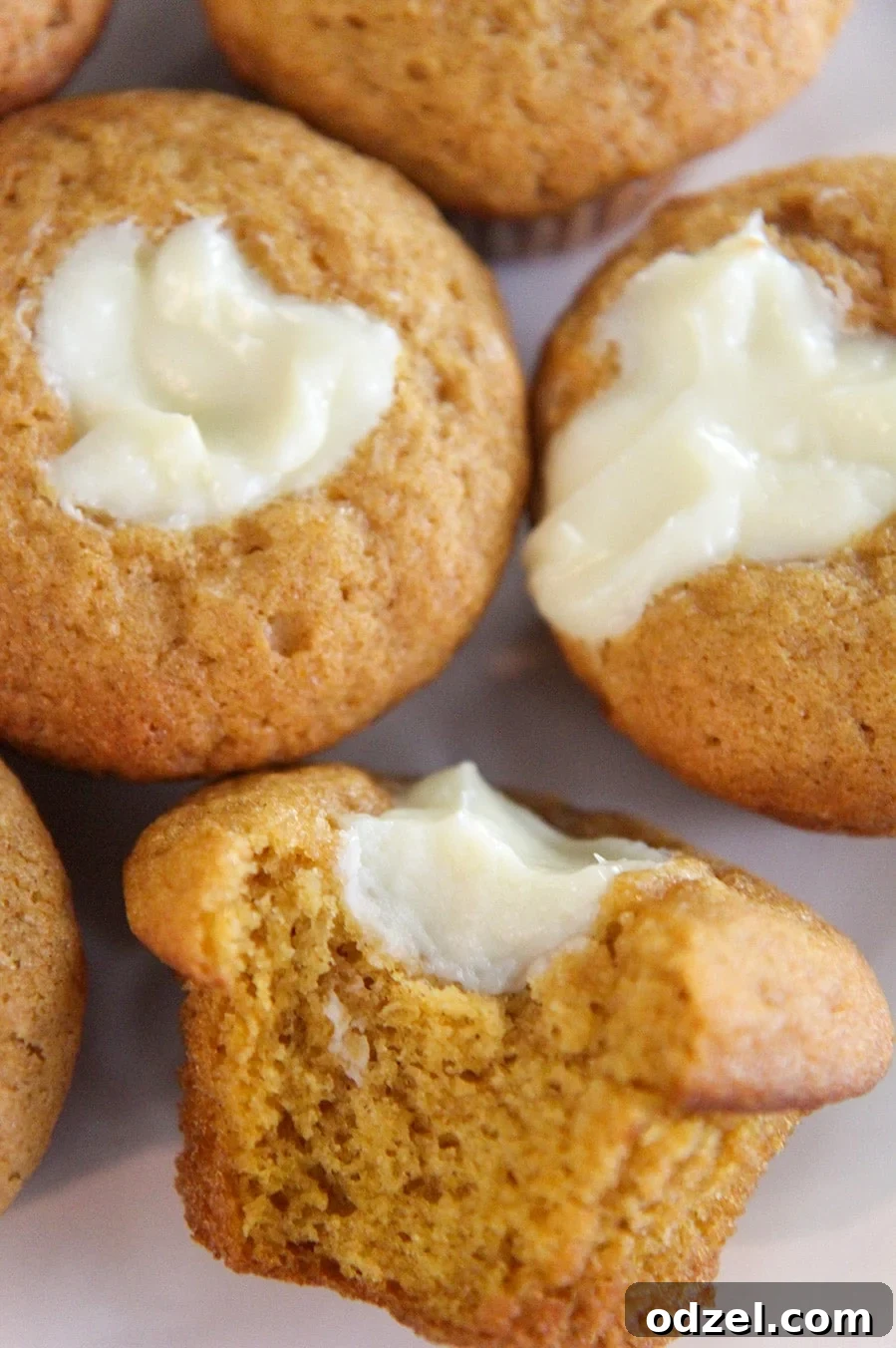 Cheesecake Swirl Pumpkin Muffins 2 Three perfectly baked pumpkin cheesecake muffins, close-up, showcasing their golden tops and creamy swirl.