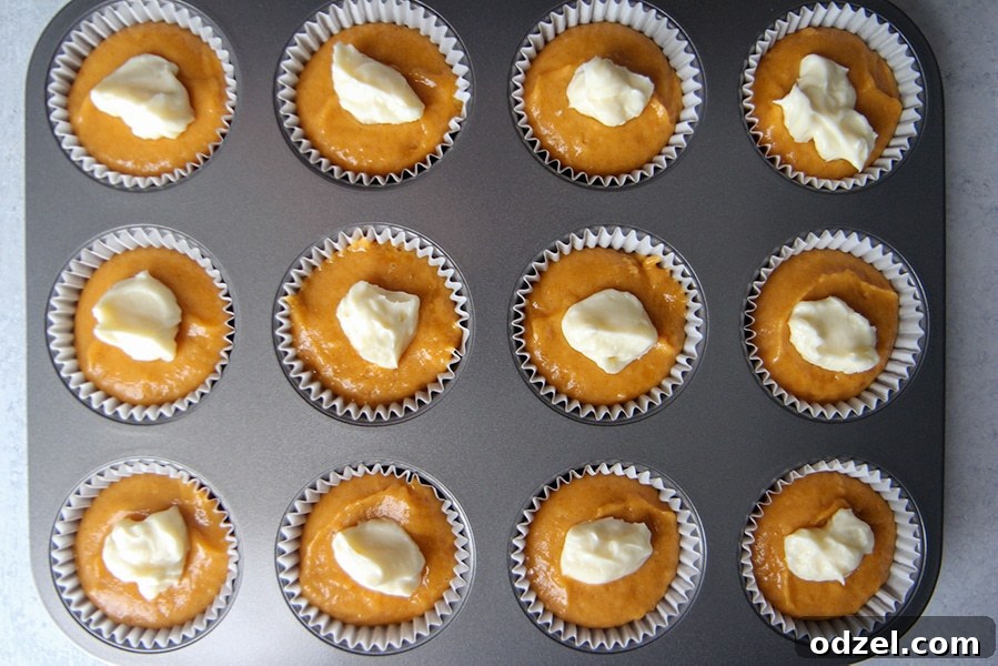 Cheesecake Swirl Pumpkin Muffins 3 A muffin tin with twelve cupcake liners, each filled with pumpkin muffin batter and a dollop of cream cheese filling, ready for baking.