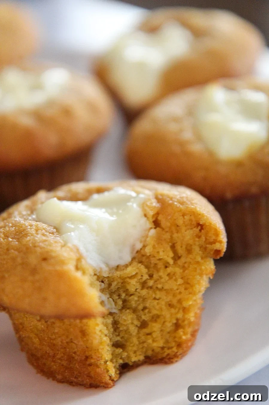 Cheesecake Swirl Pumpkin Muffins 4 A close-up of a bitten pumpkin cheesecake muffin, revealing the moist pumpkin cake and the creamy white cheesecake filling inside.