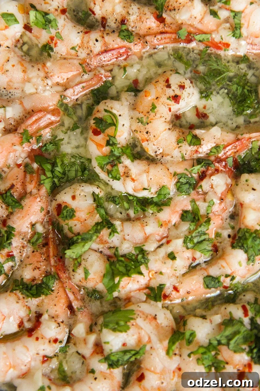 Golden Garlic Shrimp Bake 4 Close-up of baked shrimp scampi garnished with fresh parsley.