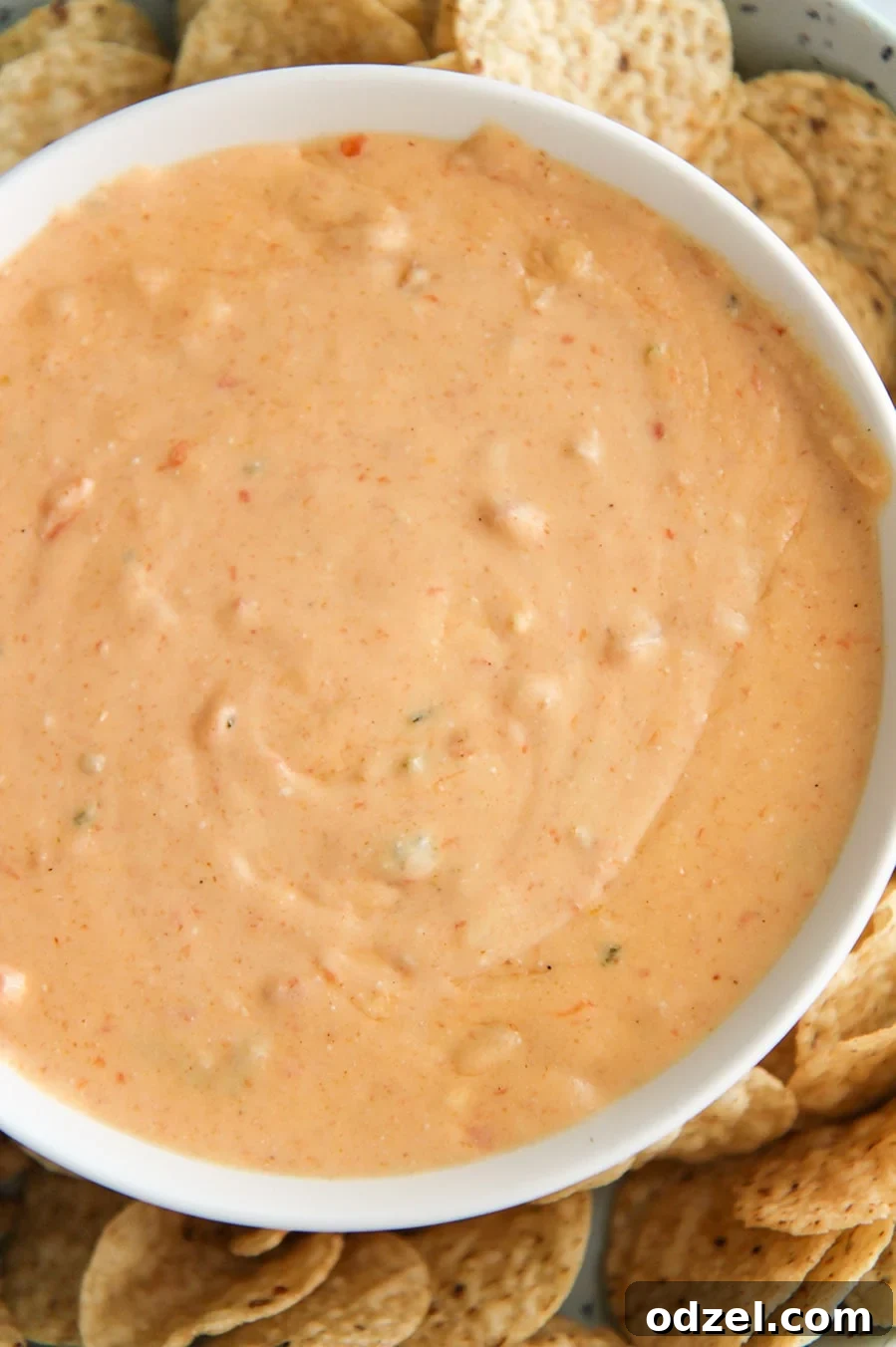 Creamy Instant Pot Queso Dip 2 A large white bowl brimming with creamy Instant Pot Queso Dip, surrounded by crispy tortilla chips ready for dipping.
