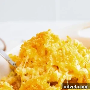 A close-up of baked mac and cheese in a casserole dish, ready to be served.