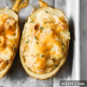 Ultimate Stuffed Potatoes 5 A close-up of a single golden-brown twice baked potato, richly topped with melted cheddar cheese and finely chopped green chives.