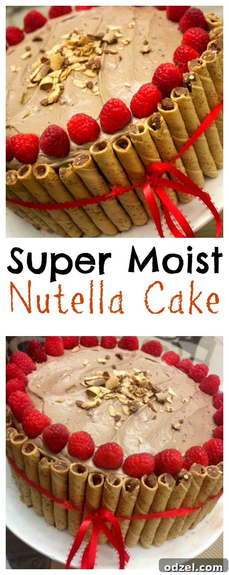 Decadent Nutella Dream Cake 4 Super Moist Nutella Cake with Chocolate Hazelnut Frosting and Raspberries