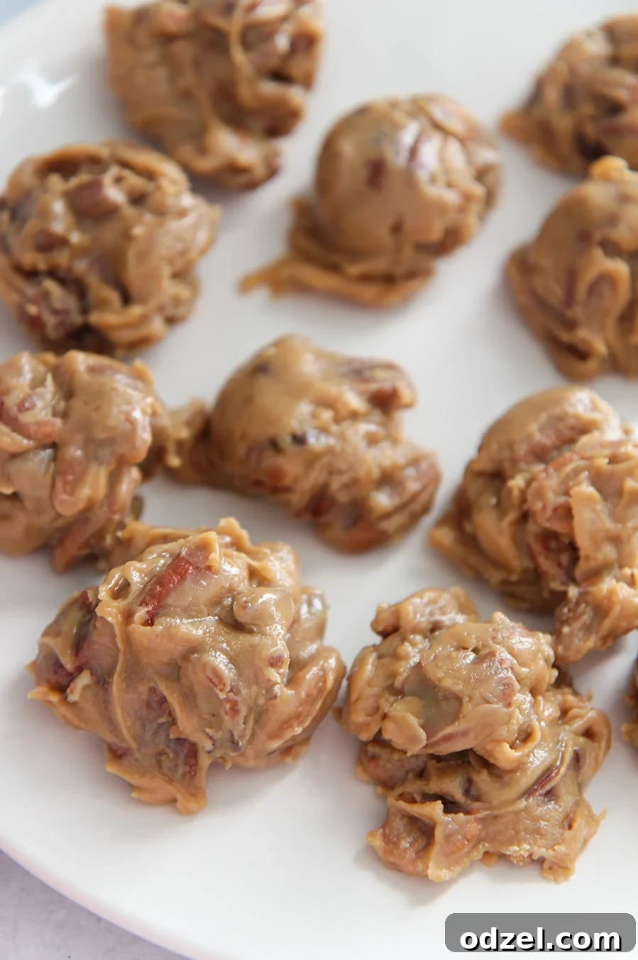 Creamy New Orleans pecan pralines arranged beautifully on a white plate, ready to be served.