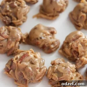 Beautifully set pecan pralines on a white serving plate, ready to enjoy.