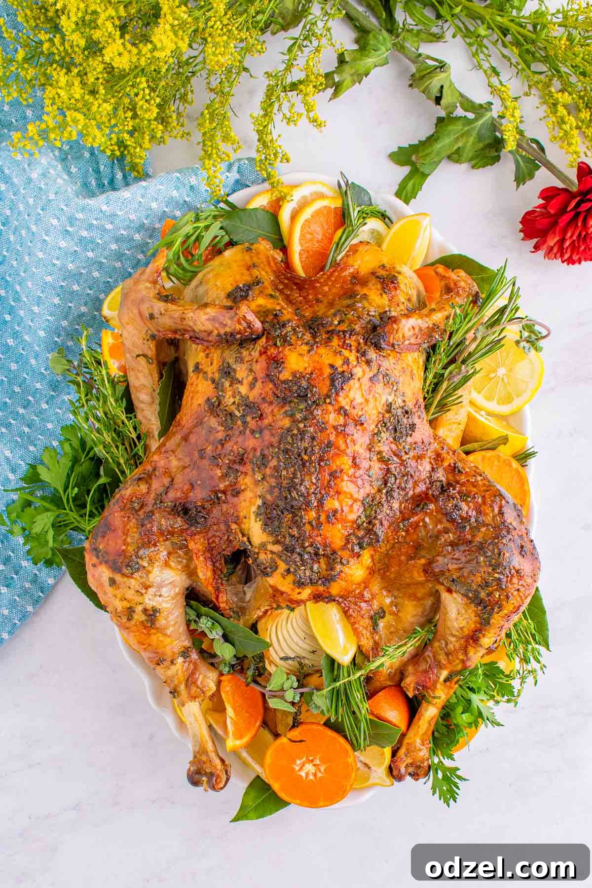 a cooked juicy roast turkey on a platter decorated with orange slices and herbs. 