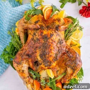 a cooked whole turkey on a platter decorated with orange slices and herbs.