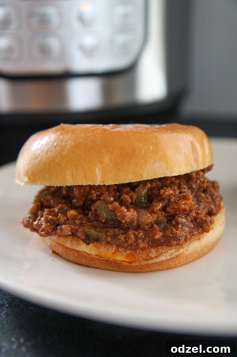 A delectable sloppy joe sandwich artfully placed with an Instant Pot softly blurred in the background, showcasing the ease of preparation.