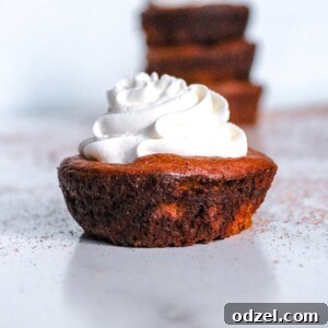 keto mini pumpkin pie up close with whipped cream on top.