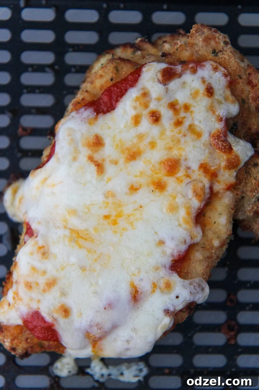 A perfectly cooked chicken parmesan in a black air fryer basket, showing its golden-brown crust and melted cheese.