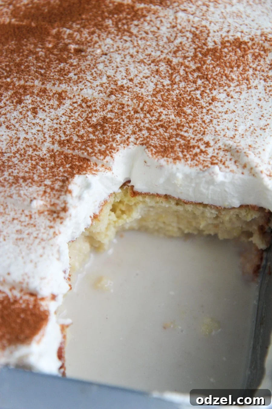 A whole coquito cake with a missing slice in a baking dish, garnished with cinnamon.