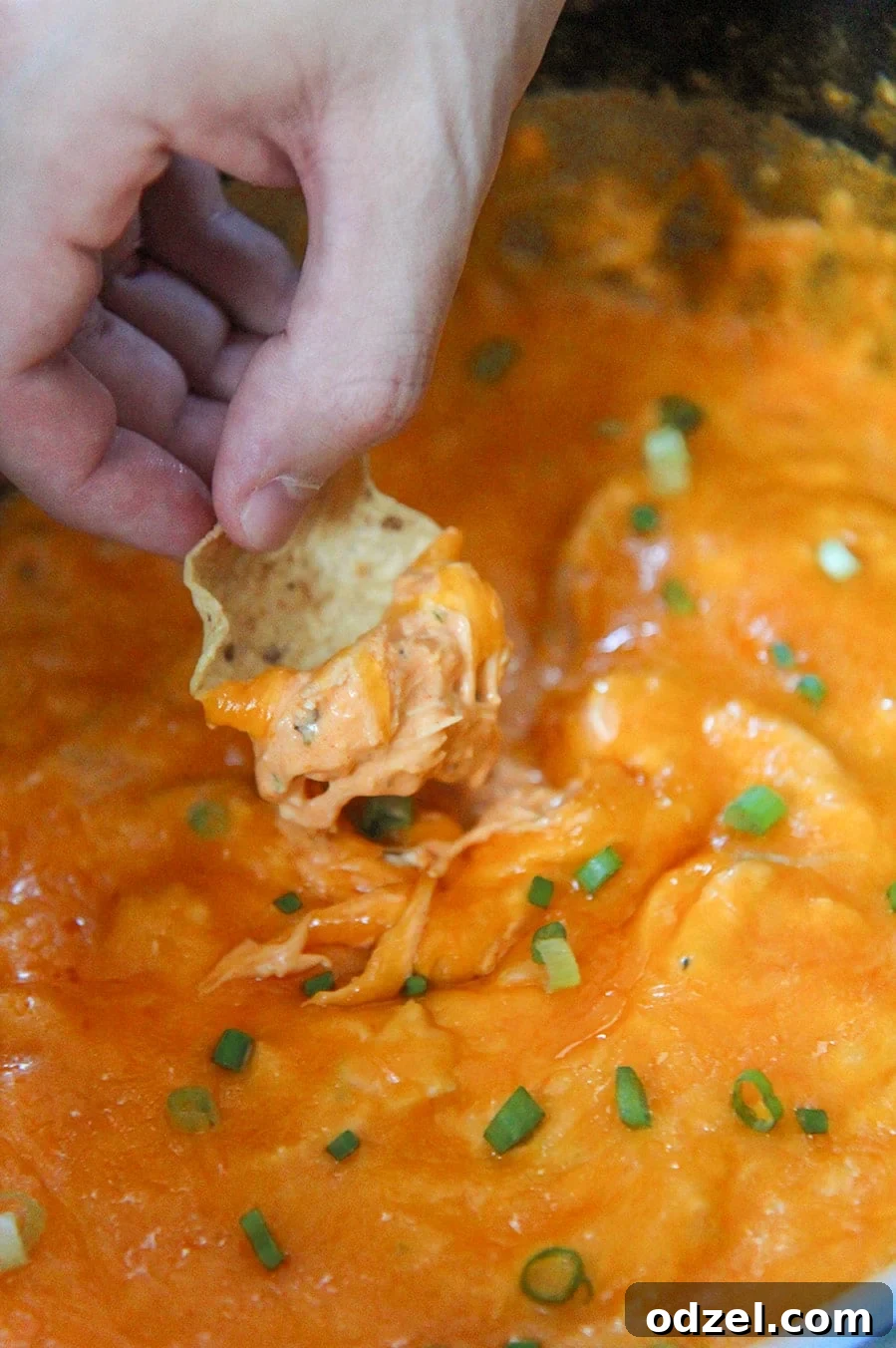a tortilla dipped in buffalo chicken dip.