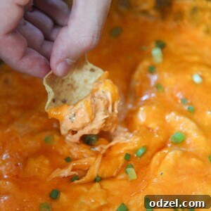 a tortilla dipped in buffalo chicken dip.
