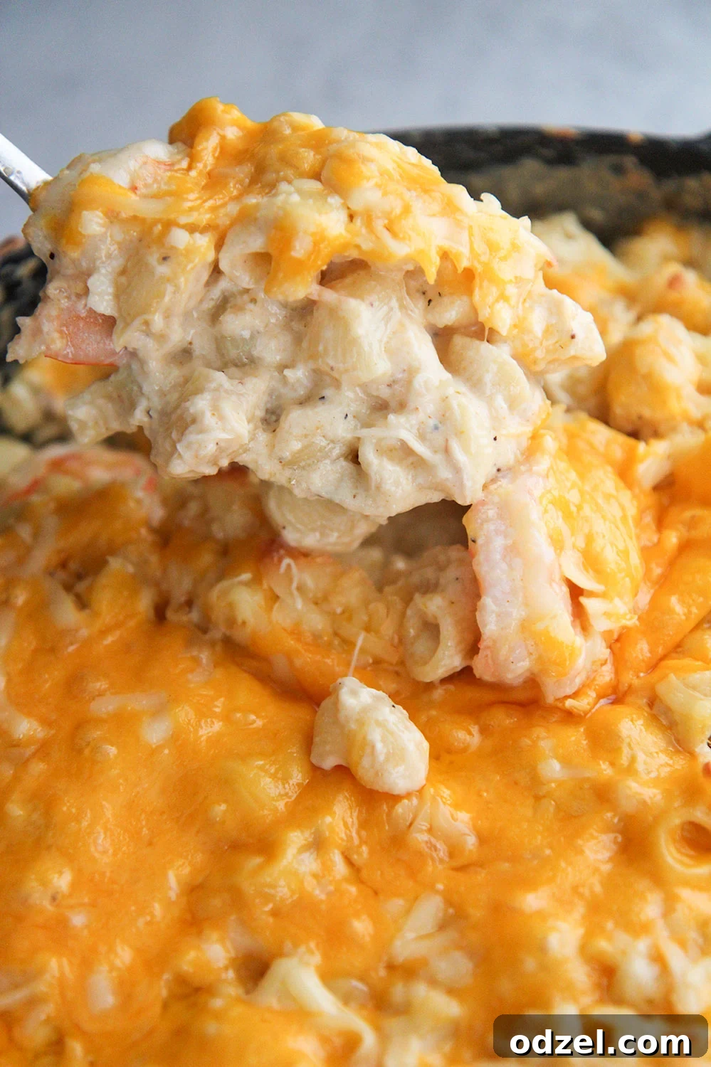 Creamy Seafood Macaroni 3 A close-up view of a spoonful of creamy seafood mac and cheese, highlighting the delicious blend of pasta, cheese, crab, and shrimp.