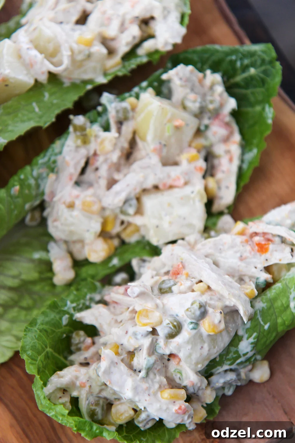 Ensalada de Pollo (Mexican Chicken Salad) served on three crisp lettuce cups, garnished with fresh cilantro.