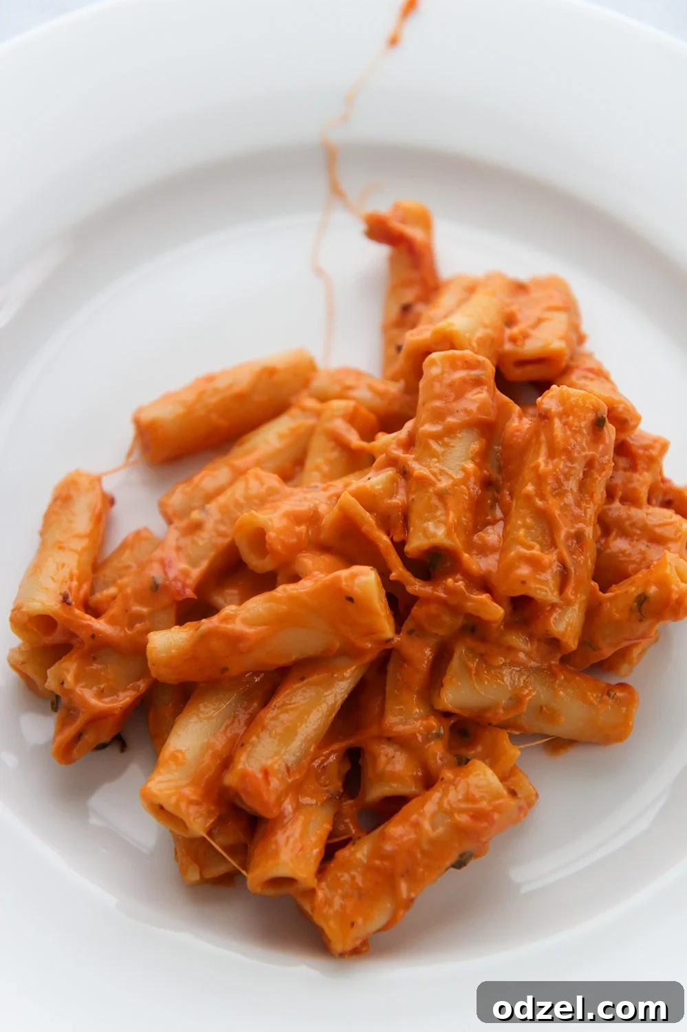 Easy Instant Pot Baked Ziti 3 A close-up of creamy Instant Pot baked ziti on a white plate, ready to be enjoyed.