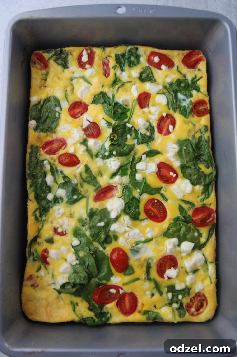 A vibrant close-up shot of a 9x13 spinach and goat cheese frittata casserole, fresh out of the oven, showing the golden-brown, puffed surface, melted goat cheese, and glistening cherry tomatoes nestled within the fluffy egg mixture.