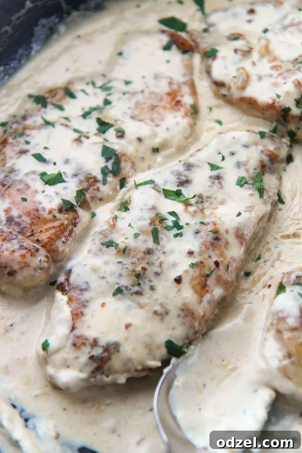 Two creamy garlic parmesan chicken breasts garnished with fresh parsley.