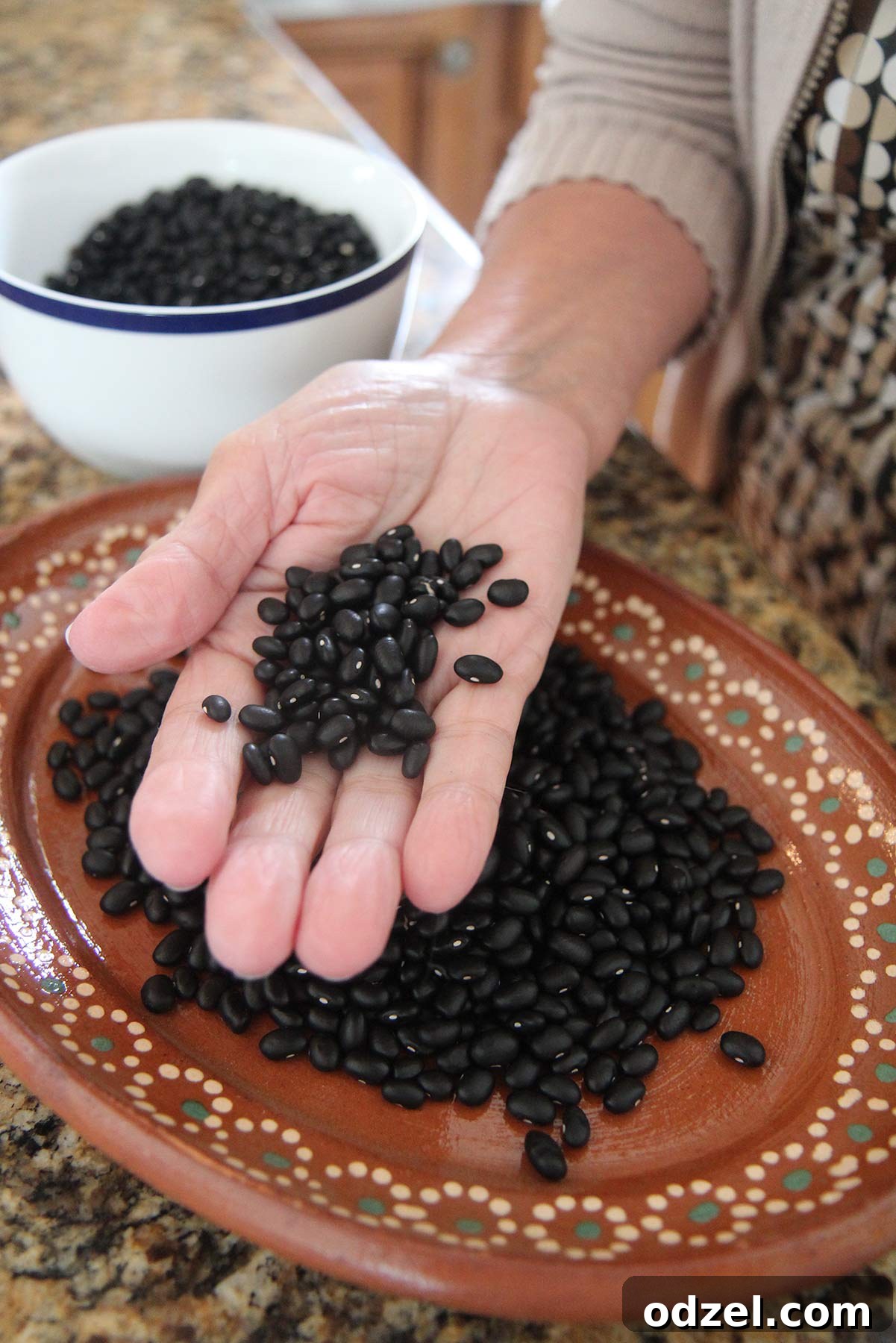 A hand gently holding a handful of dried black beans, illustrating their texture and readiness for the cooking process in this Cuban Congri recipe.