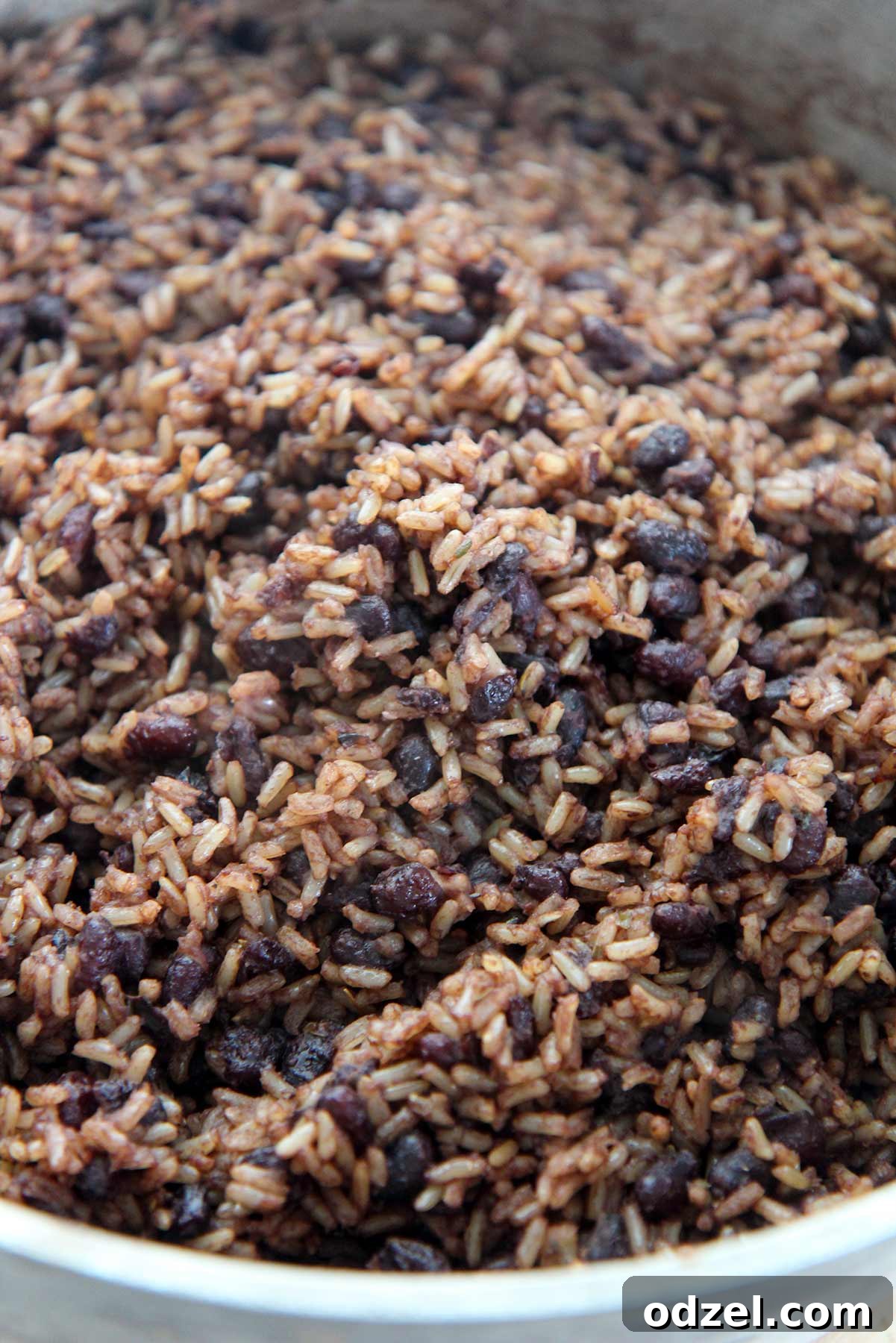 A close-up view of freshly cooked Cuban Congri, a fluffy mixture of black beans and rice, ready to be served from a large pot.
