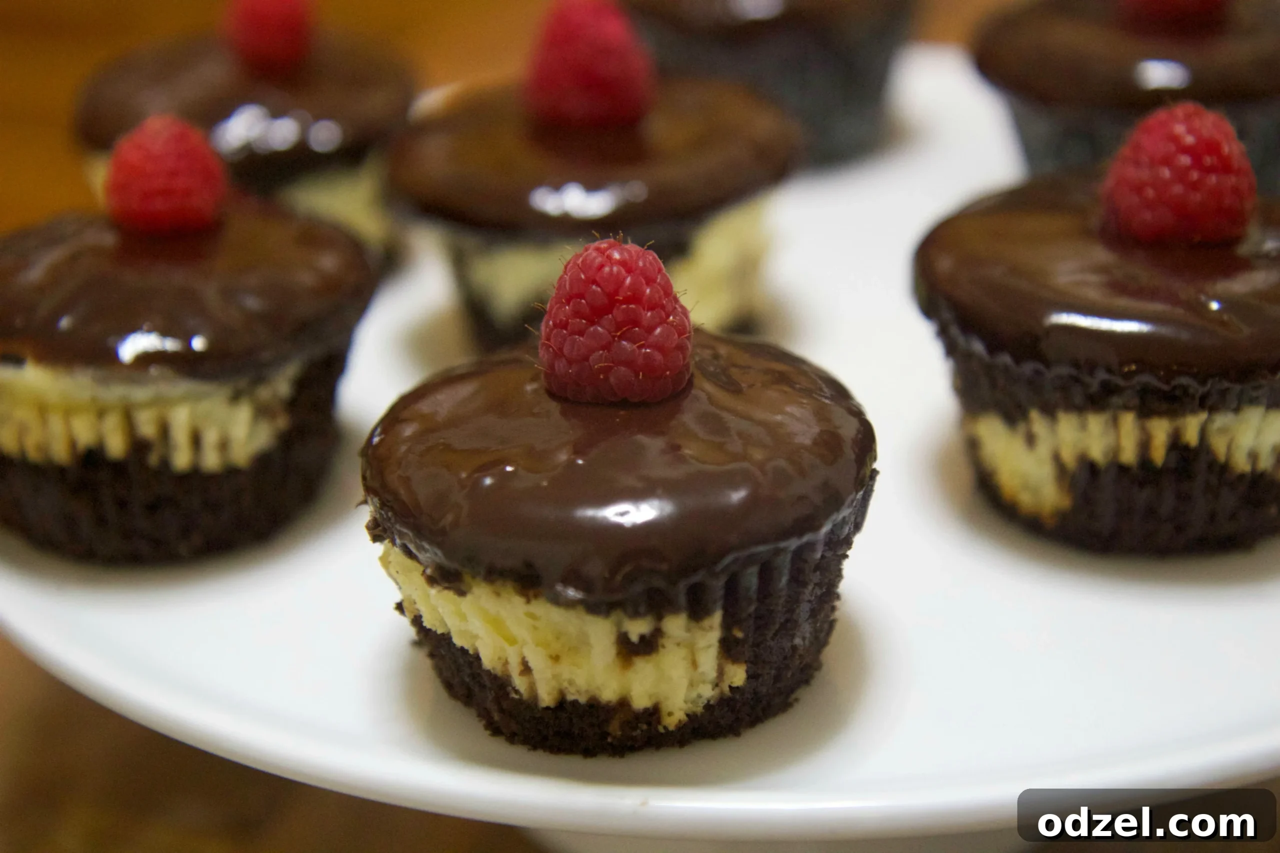 Rich chocolate cheesecake cupcakes topped with smooth milk chocolate ganache and fresh red raspberries