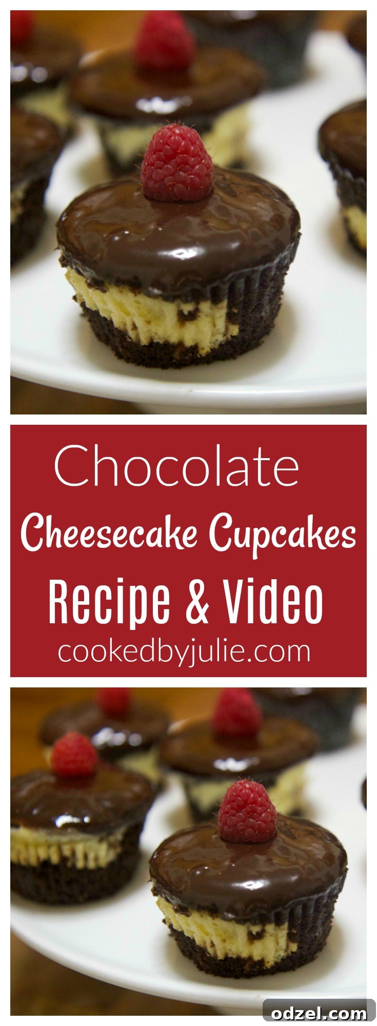 Homemade Chocolate Cheesecake Cupcakes with raspberry garnish and chocolate drizzle, showcasing a recipe from Cooked By Julie