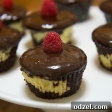 A perfectly baked Chocolate Cheesecake Cupcake with smooth ganache and fresh raspberries.