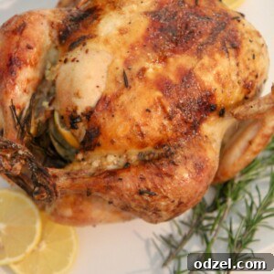 Lemon Garlic Roast Chicken recipe image