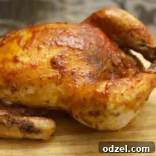 Grilled Chicken Fiesta 4 Barbecue Roasted Chicken