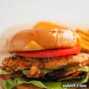 spicy grilled chicken sandwich up close.