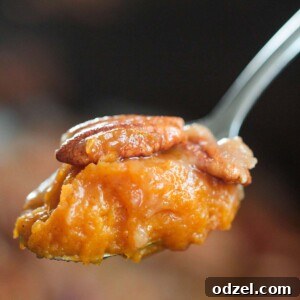 A spoonful of slow cooker sweet potato casserole with a golden brown pecan topping.