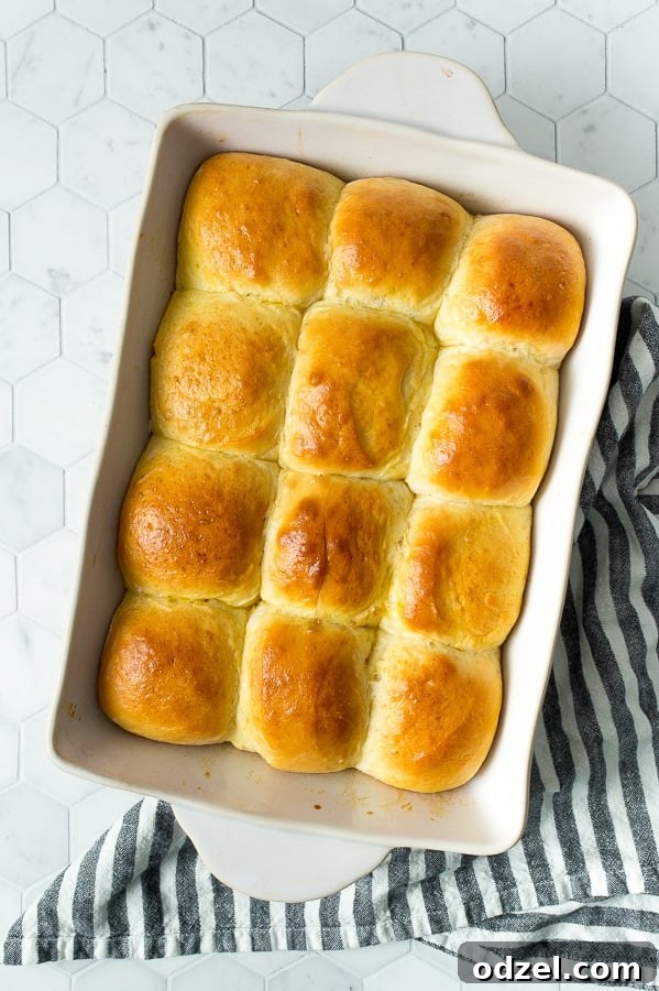 Pillowy Homemade Dinner Rolls 2 a dozen baked dinner rolls in a white baking sheet on top of a blue and white towel.