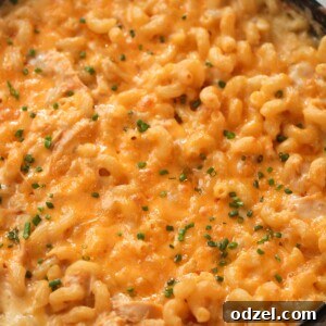 buffalo chicken mac and cheese with green chives on top.