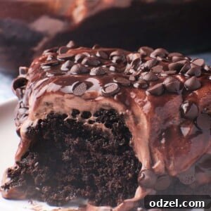 Decadent Chocolate Infusion Cake 2 a slice of chocolate poke cake up close.